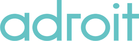 Account Director, Adroit Data & Insight
